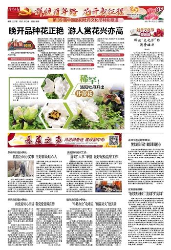 王者碎片商店下月上新，龙年限定皮肤登场，情人节限定皮肤曝光